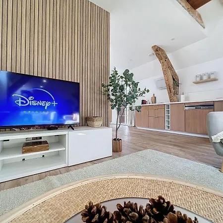 Daire Parenthese Le Pic Du Midi - 110m² *